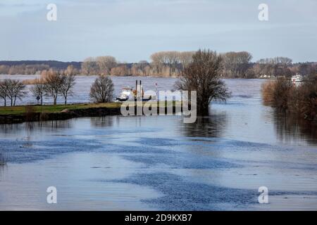 Lippe, Überschwemmung im renaturierten Auengebiet an der Mündung der Lippe in den Rhein, Wesel, Niederrhein, Nordrhein-Westfalen, Deutschland Stockfoto