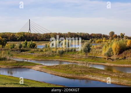 Wesel, Nordrhein-Westfalen, Niederrhein, Deutschland, Lippe, Blick flussabwärts des renaturierten Auengebietes oberhalb der Lippemündung im Rhein an der Niederrheinbrücke. Stockfoto