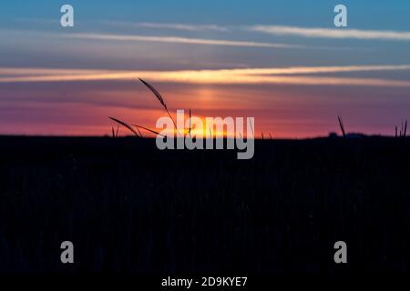 Silhouetten, Sonnenuntergang und Schatten, ein stimmungsvolles Farbenspiel an der Nordsee Stockfoto