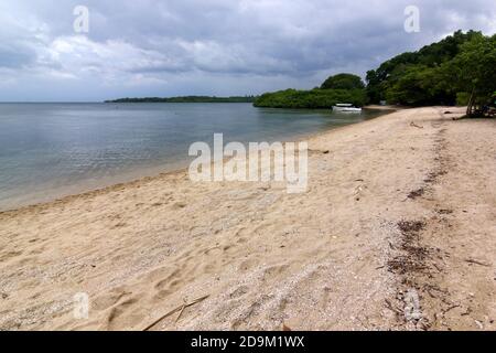 Bama Beach ist eines der touristischen Ziele in Baluran Nationalpark, Situbondo, Ost-Java, Indonesien. Stockfoto