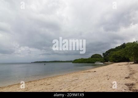 Bama Beach ist eines der touristischen Ziele in Baluran Nationalpark, Situbondo, Ost-Java, Indonesien. Stockfoto