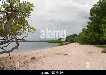 Bama Beach ist eines der touristischen Ziele in Baluran Nationalpark, Situbondo, Ost-Java, Indonesien. Stockfoto