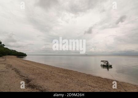 Bama Beach ist eines der touristischen Ziele in Baluran Nationalpark, Situbondo, Ost-Java, Indonesien. Stockfoto