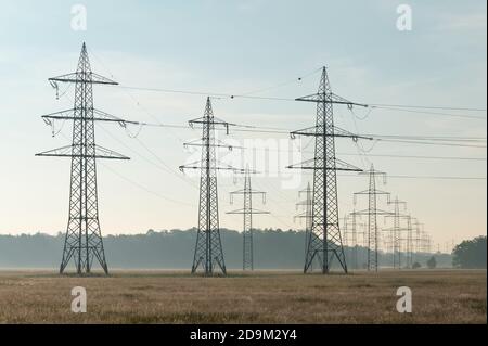 Freileitungsmasten, Hochspannungsmasten, Wiese, Morgen, Sommer, Landschaftsschutzgebiet, Mönchbruch, Mörfelden-Walldorf, Hessen, Deutschland Stockfoto