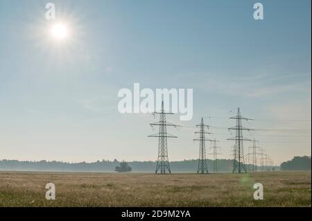 Landschaft, Freileitungsmasten, Hochspannungsmasten, Wiese, Sonnenschein, Morgen, Sommer, Landschaftsschutzgebiet, Mönchbruch, Mörfelden-Walldorf, Hessen, Deutschland Stockfoto