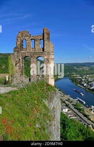 Grevenburger Ruinen oberhalb von Traben-Trabach, Moseltal, Rheinland-Pfalz, Deutschland Stockfoto