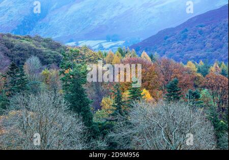 Herbstfarben bei Ullswater Stockfoto