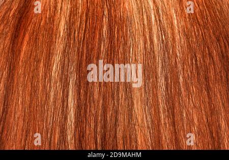 Rote Haarstruktur, Nahansicht Stockfoto