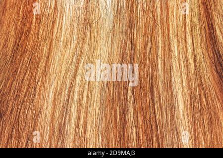 Rote Haarstruktur, Nahansicht Stockfoto