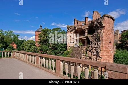 Heidelberger Schloss, Krautturm, Heidelberg, Neckar, Baden-Württemberg, Deutschland Stockfoto