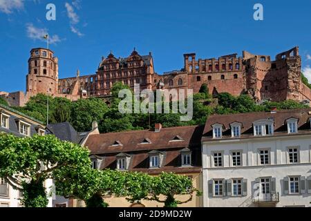 Häuser und Schloss, Heidelberg, Baden-Württemberg, Deutschland Stockfoto