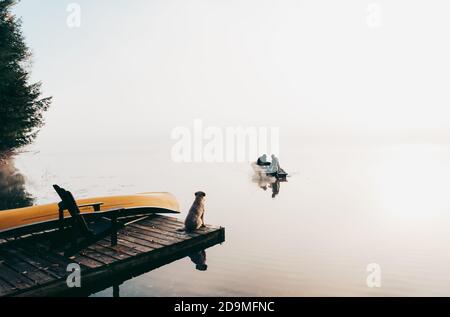 Zwei Personen im Fischerboot im Nebel mit Hund beobachten vom Dock aus. Stockfoto