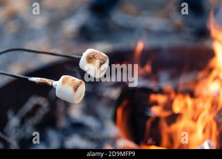 Marshmallows auf einem Stock, der draußen über einem Lagerfeuer geröstet wird. Stockfoto