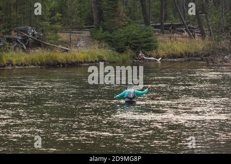 Ein Fliegenfischer auf dem Madison River im Yellowstone National Park in Wyoming. Stockfoto