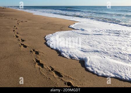 Fußspuren im Sand und Meereswellen, die den Strand umspülten Stockfoto