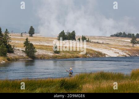 Ein Fliegenfischer auf dem Firehole River im Yellowstone National Park in Wyoming. Dampf steigt aus dem Midway Geyser Basin dahinter auf. Stockfoto