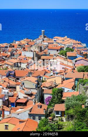 Piran, Istrien, Slowenien - Stadtübersicht, Blick über die Dächer der Hafenstadt am Mittelmeer. Stockfoto