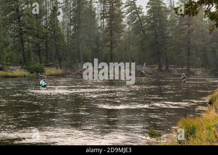 Zwei Fliegenfischer auf dem Madison River im Yellowstone National Park in Wyoming. Stockfoto