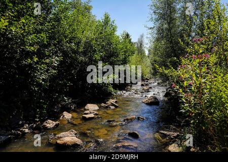 Dortmund, Ruhrgebiet, Nordrhein-Westfalen, Deutschland, Emscher, renaturierter Fluss in Dortmund-Schönau. Die ökologische Rekonstruktion des Emscher-Systems besteht aus dem Bau einer zentralen Abwasserreinigungsanlage im Ruhrgebiet, dem Bau unterirdischer Abwasserkanäle und der Renaturierung der Emscher und ihrer Nebenflüsse. Stockfoto