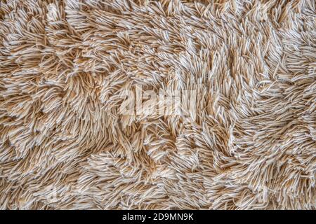 Weiche Wolle Textur Hintergrund, Watte, helle natürliche Tierwolle, close-up Textur von weißen flauschigen Fell, Wolle mit beige Ton, Fell mit einem zarten Stockfoto