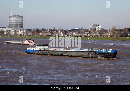 Frachter fahren bei Hochwasser auf dem Rhein, in den hinteren Wohngebäuden im Stadtteil Oberkassel und in der Vodafone Zentrale, Düsseldorf, Nordrhein-Westfalen, Deutschland Stockfoto