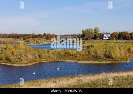 Wesel, Nordrhein-Westfalen, Niederrhein, Deutschland, Lippe, Blick stromaufwärts des renaturierten Auengebietes oberhalb der Lippemündung in den Rhein. Stockfoto