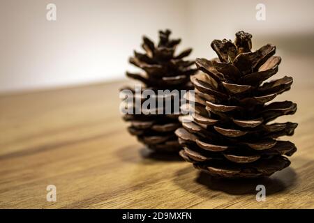 Zwei Kiefernzapfen stehen aufrecht auf dem Holztisch. Stockfoto