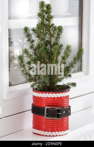 Kleiner Weihnachtsbaum in roter Dose UK+nur irische Rechte/E-Mail Büro für andere Gebiete Stockfoto