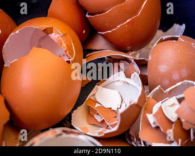 Nahaufnahme einer großen Anzahl von zerdrückten Eierschalen Stockfoto