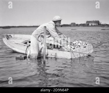 1920ER JAHRE SENIOR MANN CLAMMING IM WASSER BEI EINEM ENTENBOOT VOLLER VENUSMUSCHELN, DAS VON UNTEN BARNEGAT HOCHGERACKT WURDE BAY NEW JERSEY USA - C47 HAR001 HARS B&W ERNTE SKILL BERUF SKILLS ALTER OLDSTERS OLDSTER ARBEIT BIS BESCHÄFTIGUNG BERUFE ÄLTESTE KONZEPTIONELLE ANGELN ESSBARE MUSCHELN MITARBEITER CLAMMING SCHWARZ UND WEISSE KAUKASISCHE ETHNIE MUSCHEL HAR001 ARBEIT ALTMODISCHE MEERESFRÜCHTE Stockfoto