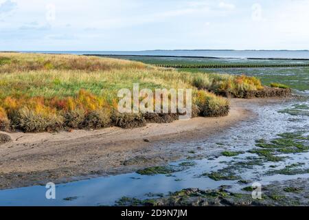 Wattenmeer bei Ebbe auf der Insel Amrum, Nordsee, Nordfriesische Insel, Schleswig-Holstein, Deutschland. Stockfoto