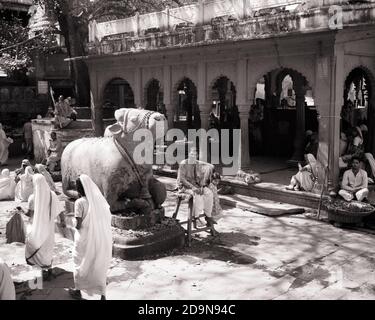 50S HEILIGE HINDU KUHSTATUE UND LOKALE MENSCHEN IM HOF IN BENARES INDIEN - R15474 RGE001 HARS IN LOKALEN HEILIGEN STÄDTE TREU BENARES HOF GLAUBEN HINDU HINDUISMUS VARANASI GLAUBEN SCHWARZ UND WEISSER, ALTMODISCHER SUBKONTINENT Stockfoto