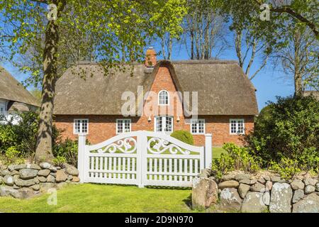 Friesisches Haus in Nieblum auf der Insel Föhr, Nordfriesische Inseln, Schleswig-Holstein, Norddeutschland, Deutschland, Europa Stockfoto