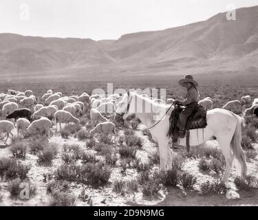 1930ER JAHRE 1940ER JAHRE JUNGE NATIVE AMERICAN INDIAN MÄDCHEN BLICK AUF DIE KAMERA REITEN WEISSES PFERD WEIDEN SCHAFE NAVAJO RESERVIERUNG USA - S8156 HAR001 HARS SZENISCHE INSPIRATION INDIANER VEREINIGTE STAATEN VON AMERIKA CARING NAVAJO TRANSPORT LANDWIRTSCHAFT B&W SCHÄFERHUND NORDAMERIKA BLICKKONTAKT NORDAMERIKANISCHE FLOCK PRIDE CONNECTION ARIZONA RESERVATION SUPPORT NATIVE AMERICAN SÜDWEST GRASENDEN WACHSTUM HERDE JUVENILES INDIANISCHEN NEW MEXICO PRE-TEEN PRE-TEEN MÄDCHEN SCHWARZ UND WEISS HAR001 INDIGENEN ALTMODISCHEN SÜDWESTLICHEN TENDENZIELL Stockfoto