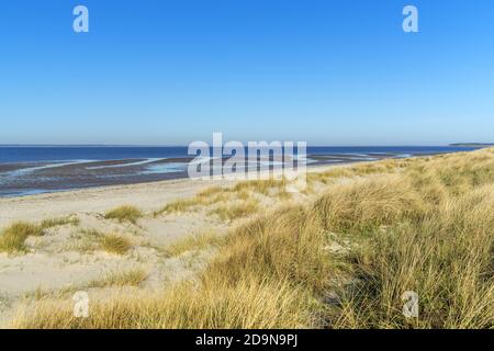 Strand bei Goting Kliff bei Nieblum, Insel Föhr, Nordfriesische Inseln, Schleswig-Holstein, Norddeutschland, Deutschland, Europa Stockfoto