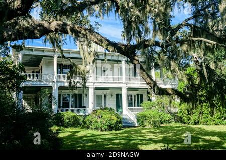 Das historische Haus Oaks wurde 1855 für Colonel Paul Hamilton erbaut und liegt im Schatten einer Live-Eiche, die mit spanischem Moos bedeckt ist, im historischen Viertel Beaufort, South Carolina. Hamilton Vater diente sowohl als Gouverneur von South Carolina von 1804 bis 1806 und als US-Sekretär der Marine unter Präsident James Madison von 1809 bis 1812. Stockfoto