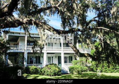 Das historische Haus Oaks wurde 1855 für Colonel Paul Hamilton erbaut und liegt im Schatten einer Live-Eiche, die mit spanischem Moos bedeckt ist, im historischen Viertel Beaufort, South Carolina. Hamilton Vater diente sowohl als Gouverneur von South Carolina von 1804 bis 1806 und als US-Sekretär der Marine unter Präsident James Madison von 1809 bis 1812. Stockfoto