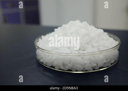 Selektiver Fokus von Natrium- oder Kaliumhydroxid-weißen chemischen Verbindungen Pellets oder Prills in einer Petrischale auf schwarzem Hintergrund. Stockfoto