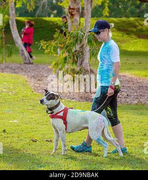 MACKAY, QUEENSLAND, AUSTRALIEN - 2019. JUNI: Unbekannte Frau mit buntem Puder beim Color Frenzy Fun Run mit ihrem Hund Stockfoto