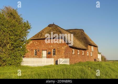 Friesisches Haus auf der Insel Pellworm, Nordfriesische Inseln, Schleswig-Holstein, Norddeutschland, Deutschland, Europa Stockfoto