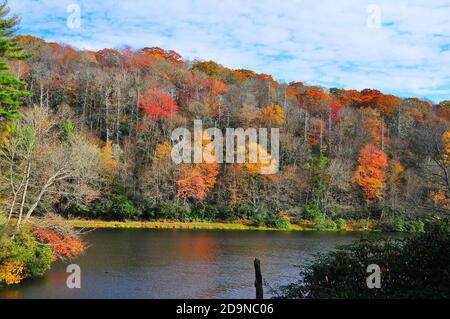 Es ist leicht, sich in die wunderschönen Herbstfarben und die Landschaft der wunderschönen Blue Ridge Appalachian Mountains in North Carolina zu verlieben. Stockfoto