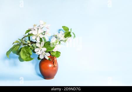 Bouquet der Zweige blühender Apfelbäume in einer Keramikvase auf weichem blauen Hintergrund. Stockfoto