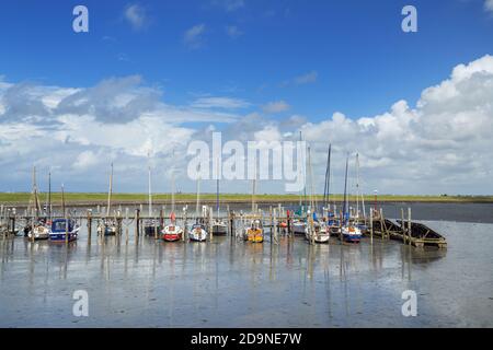 Hafen in Rantum, Insel Sylt, Nordfriesland, Schleswig-Holstein, Norddeutschland, Deutschland, Europa Stockfoto