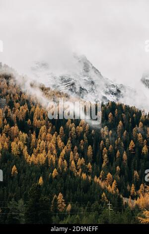 Der vertikale Schuss der niedrig fliegenden schweren Wolken, die dicht bedecken Bewaldete Berghänge im Herbst Stockfoto