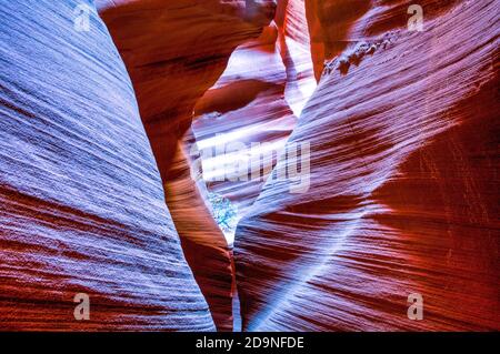 Millionen von Jahren Flash Fluten produzieren schöne, überirdisch wirbelnde Muster und Farben in Sandstein Slot Canyon. Secret Canyon, Page, AZ Stockfoto