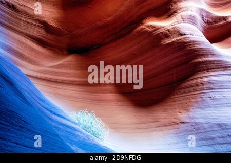 Millionen von Jahren Flash Fluten produzieren schöne, überirdisch wirbelnde Muster und Farben in Sandstein Slot Canyon. Secret Canyon, Page, AZ Stockfoto