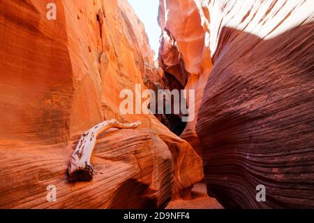 Millionen von Jahren Flash Fluten produzieren schöne, überirdisch wirbelnde Muster und Farben in Sandstein Slot Canyon. Secret Canyon, Page, AZ Stockfoto