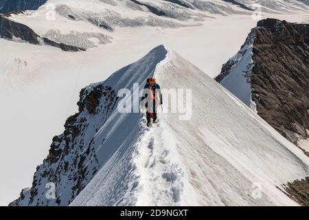 Schweiz, Kanton Bern, Berner Oberland, Bergsteiger auf dem Gipfelgrat beim Aufstieg zum Mönch, im Hintergrund Ewigschneefäld Stockfoto