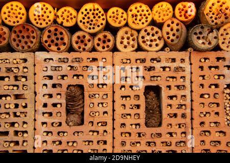 Hotel für Bienen in der Nähe in einem kleinen Garten in Schöneberg Berlin Stockfoto