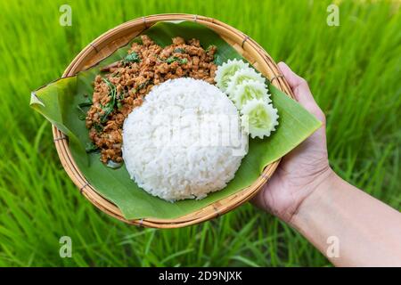 Thai Food Reis garniert mit gebratenen Schwein und Basilikum Gurke in traditionellen Bambus Webart Gericht und Banana Leaf an Hand mit Jasmin Reis Felder backgr Stockfoto